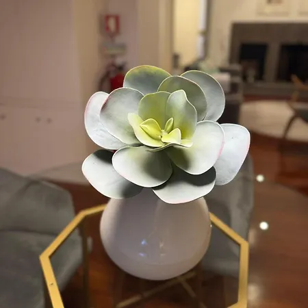 Vakantiehuis Quinta Do Jasmim Ponta Delgada