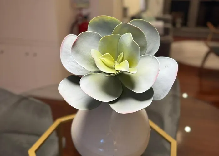 Ferienhaus Quinta Do Jasmim Ponta Delgada